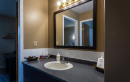 216 vanity (double kitchenette)